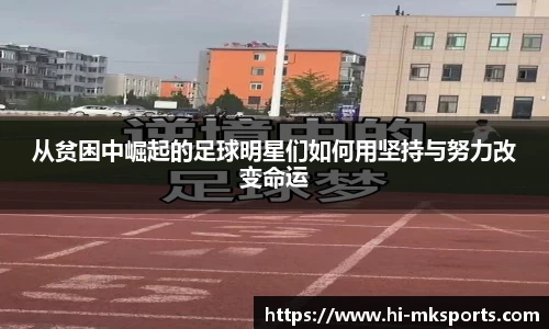 mk体育官网