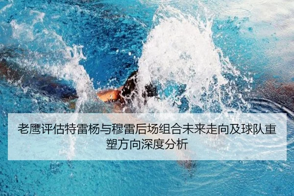 老鹰评估特雷杨与穆雷后场组合未来走向及球队重塑方向深度分析