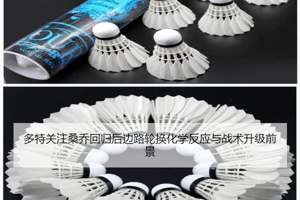 多特关注桑乔回归后边路轮换化学反应与战术升级前景